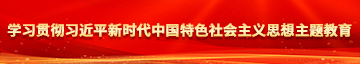 把小鸡鸡插进去女人的屁股的软件91破解版学习贯彻习近平新时代中国特色社会主义思想主题教育